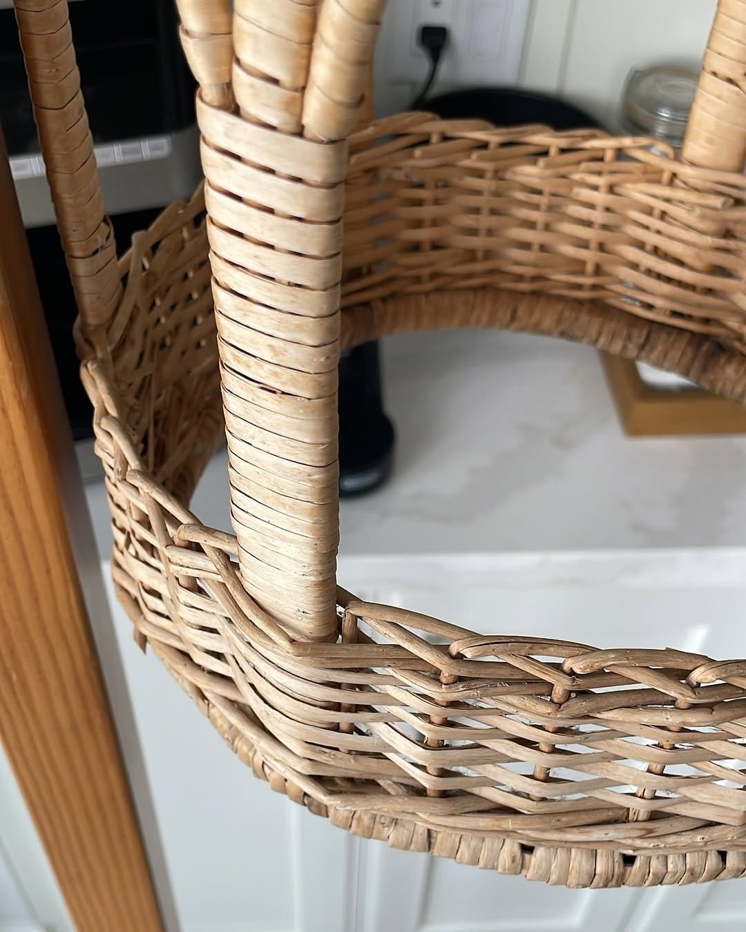 Ivy in vintage birdcage