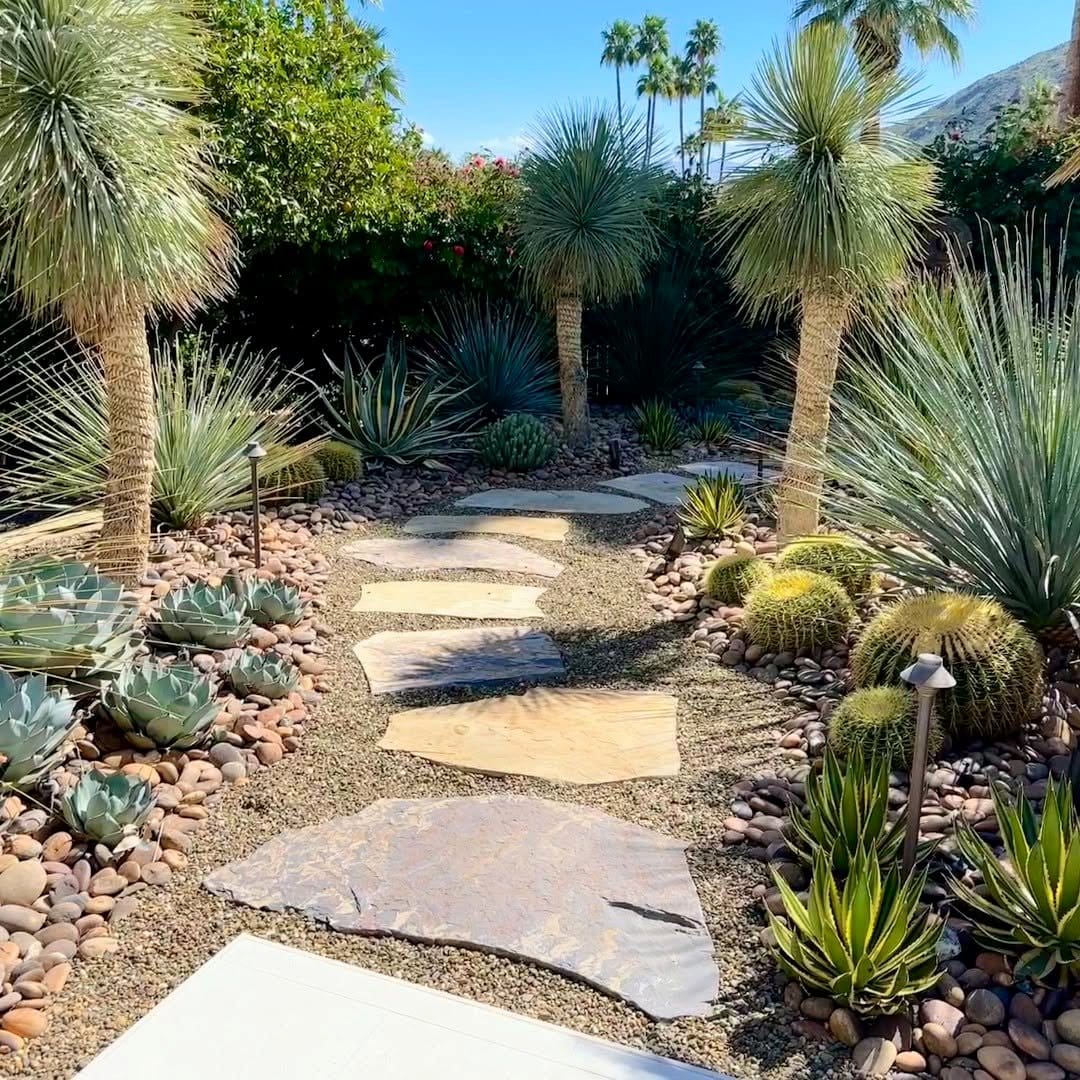 cactus garden with volcanic rocks
