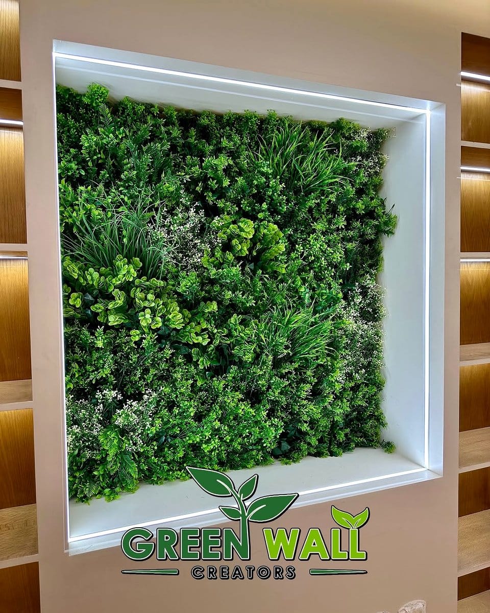 green wall with plant shadows