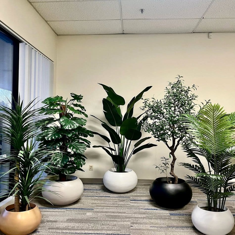 Floating hologram plant arrangement