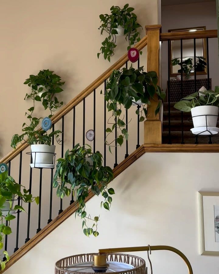 staircase with planters in risers