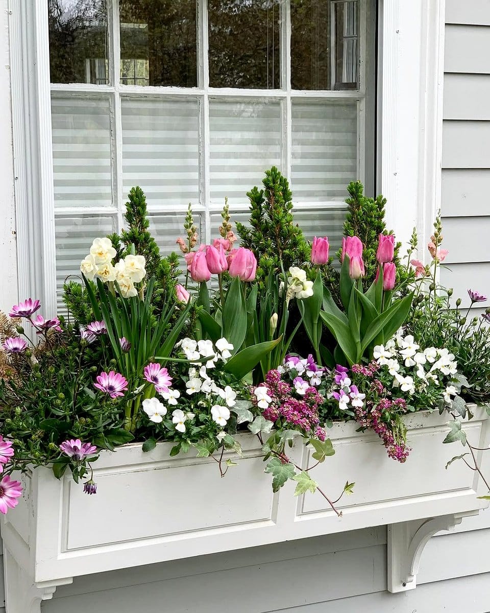 window box with colorful flowers