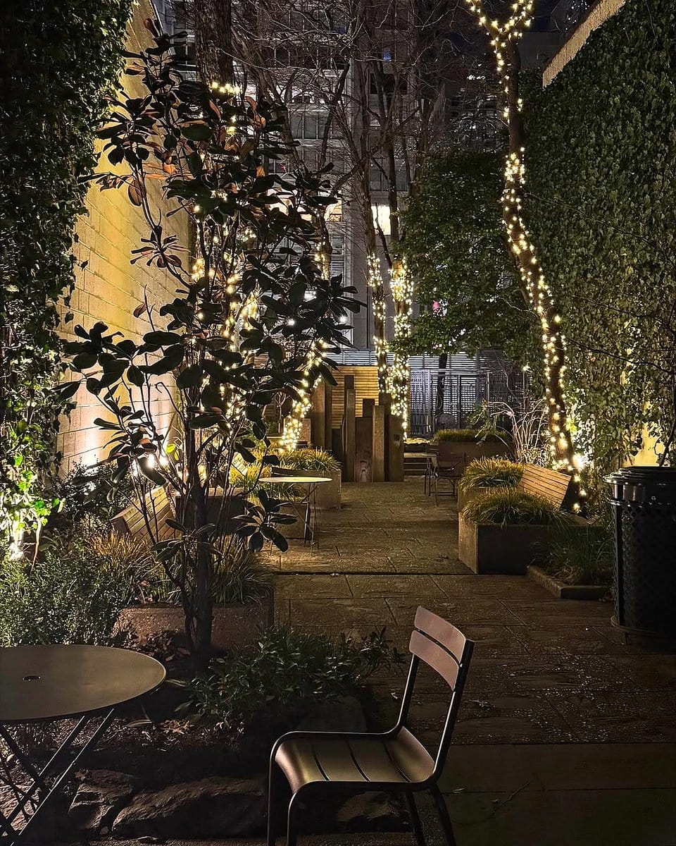 leaf vein path lights in garden