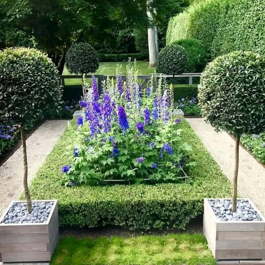 boxwood hedges lining pathway