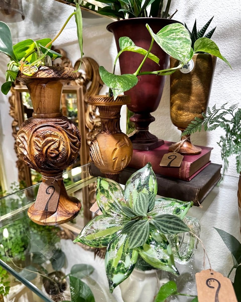 ferns on bathroom shelf