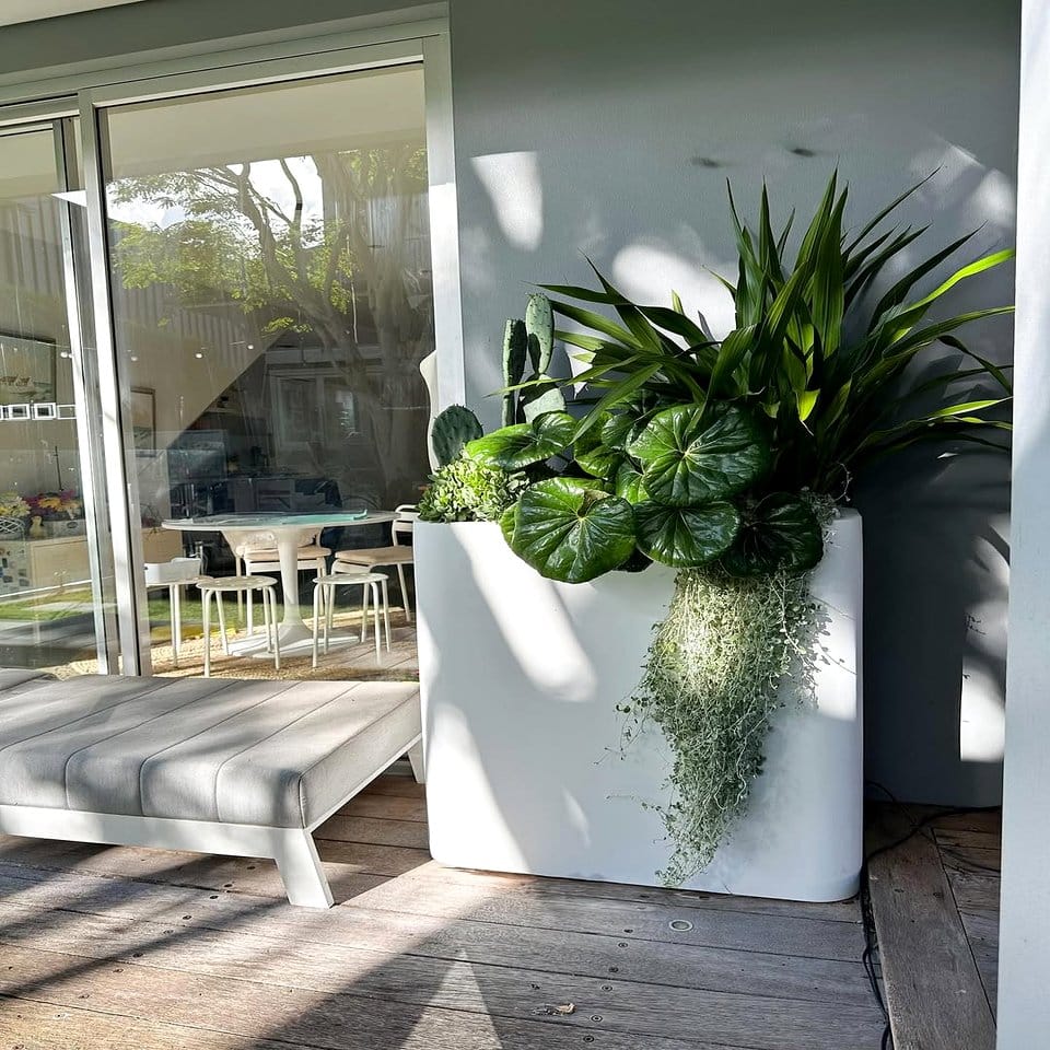 Wall-mounted planters with green foliage