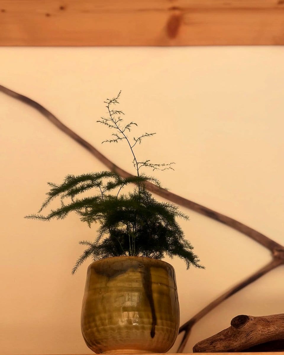 painted gourd planter with succulent
