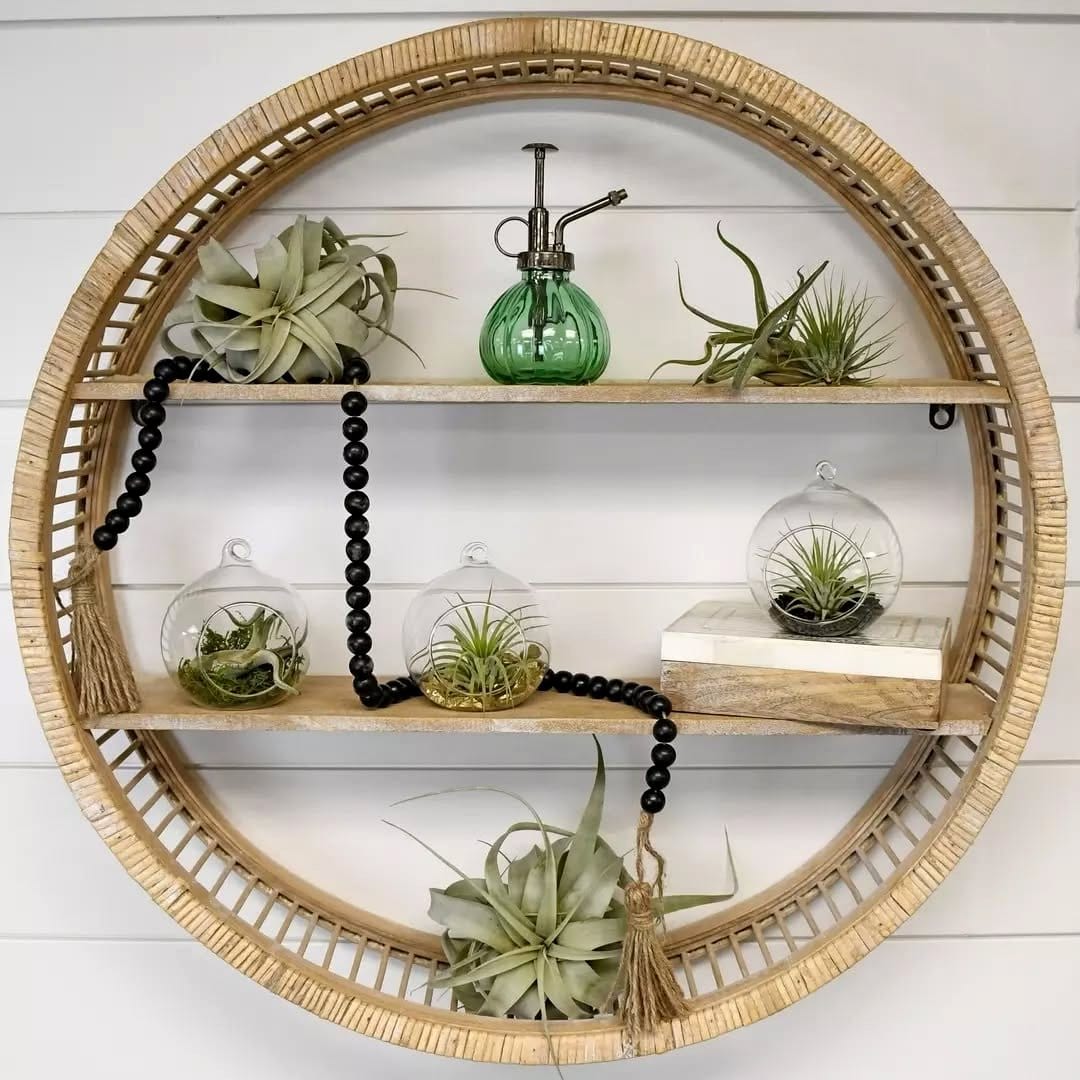 air plants in hanging glass globes