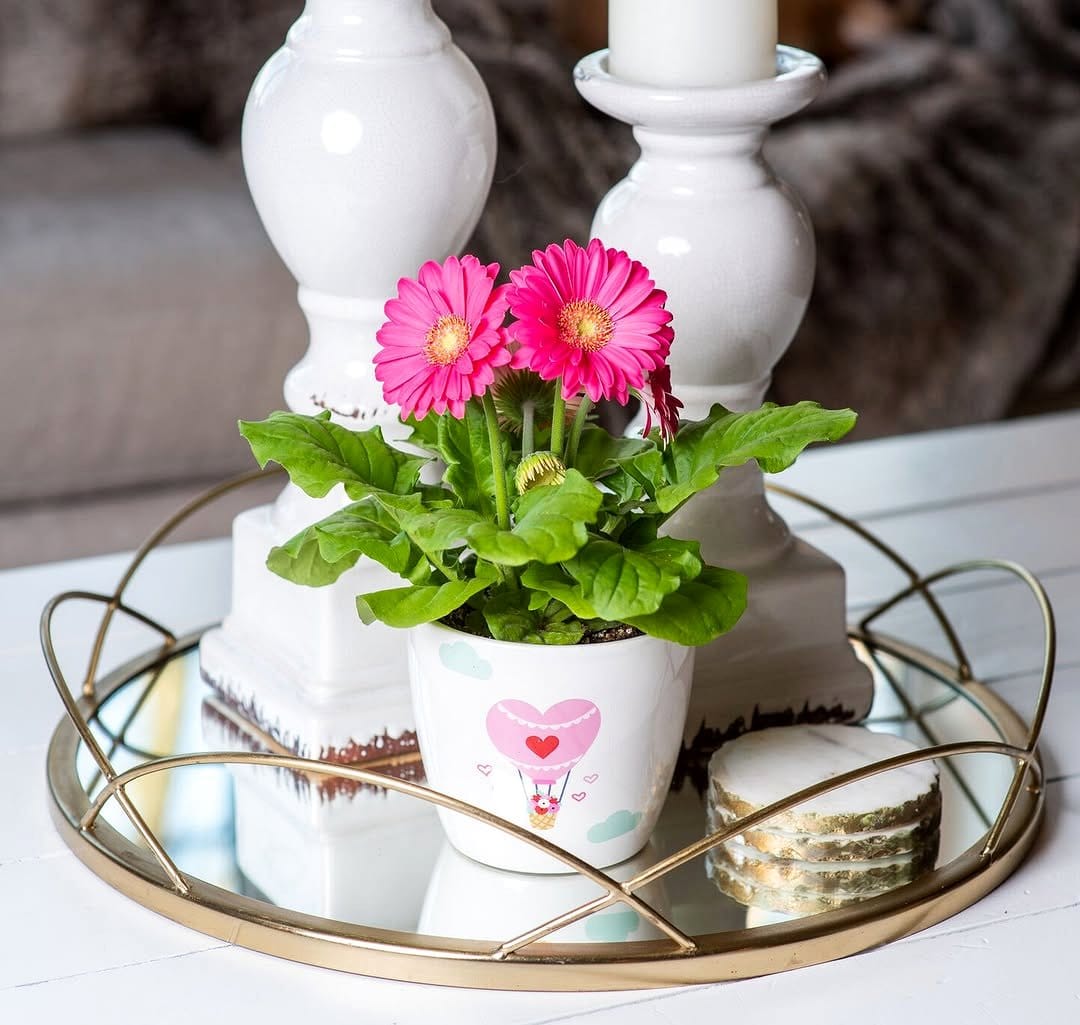 gerbera daisies in glass vase