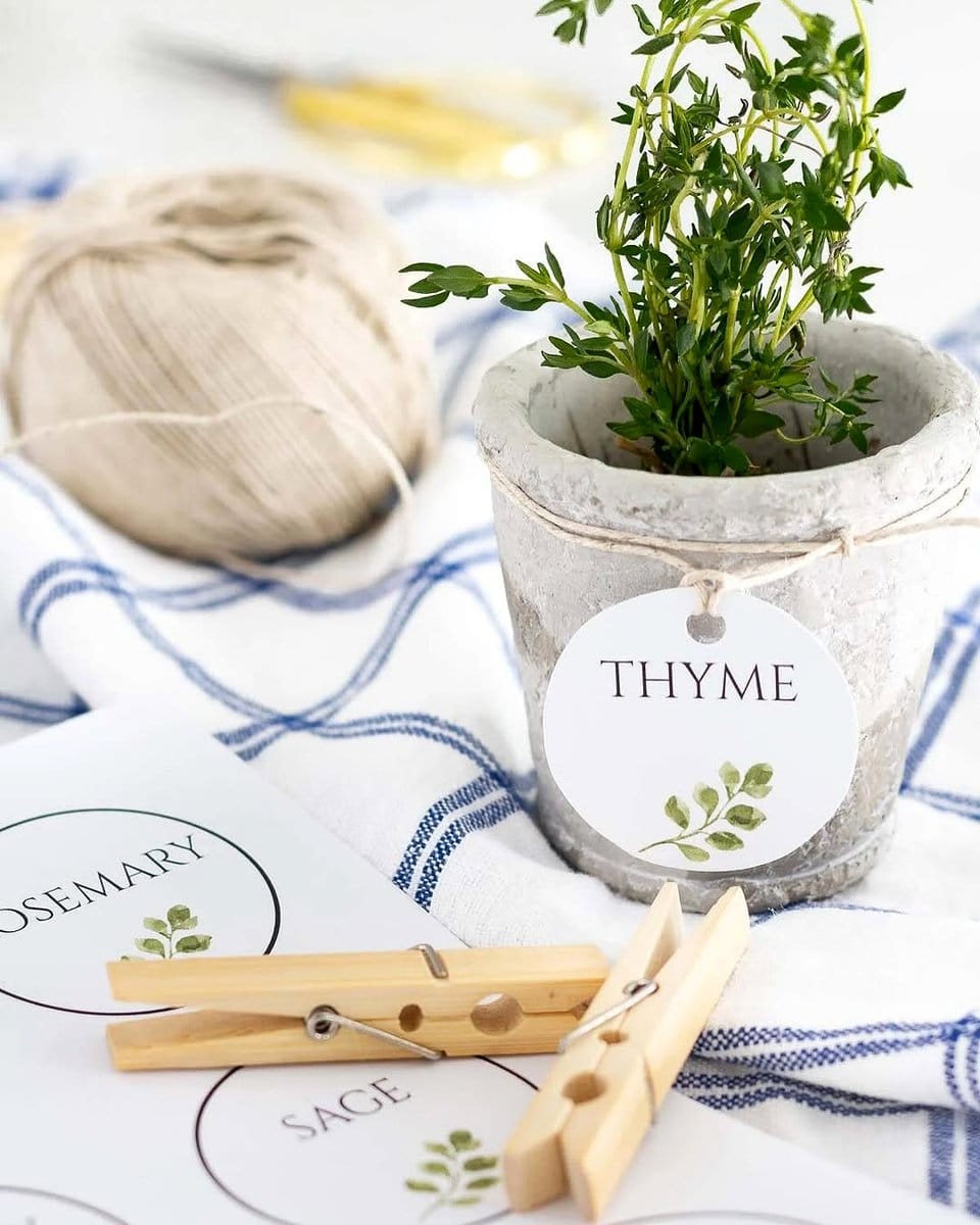 upcycled colander herb planter