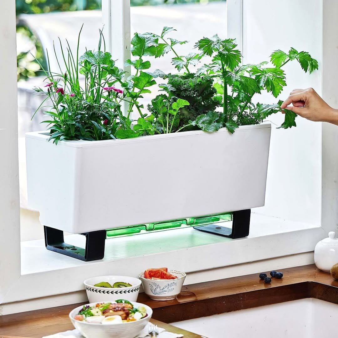 herbs in rail planters