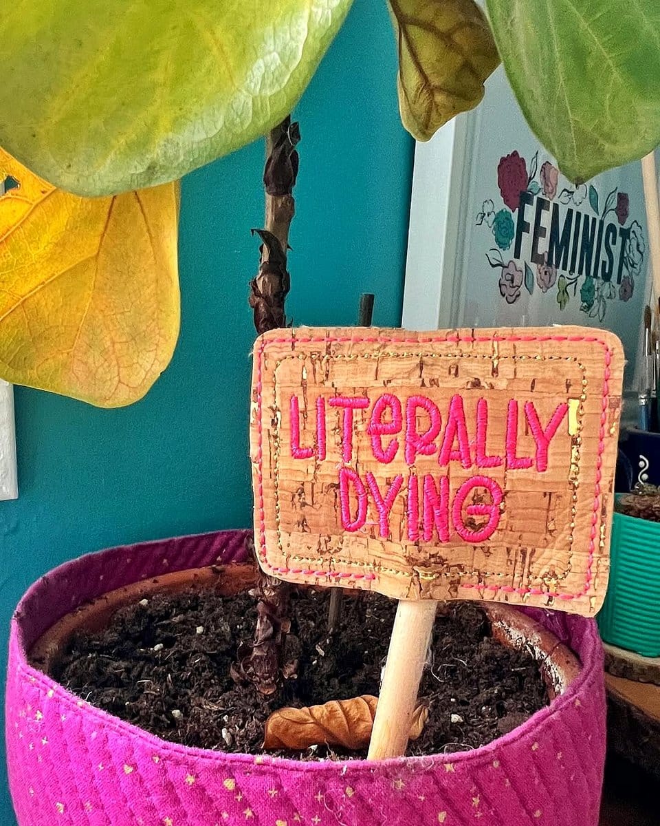 fabric pot cover with fiddle leaf fig