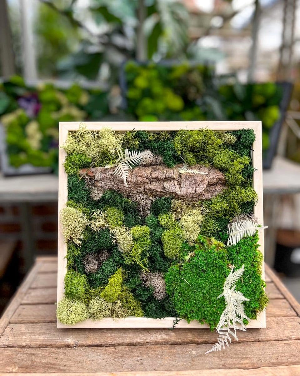 watering can and terrarium