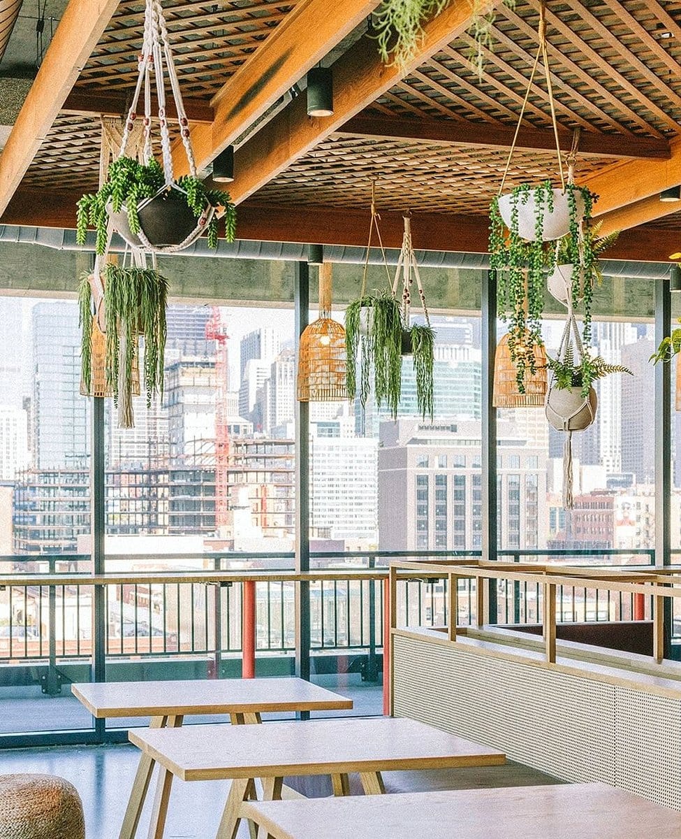 plant-based room divider