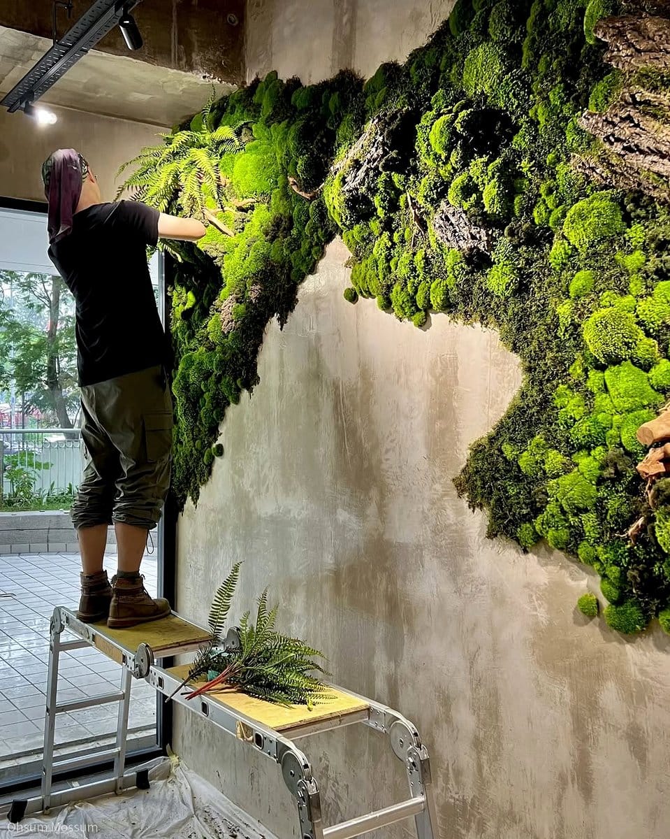 living moss wall in living room
