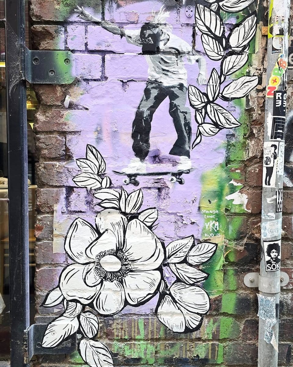 stencil on wall with plant shadows