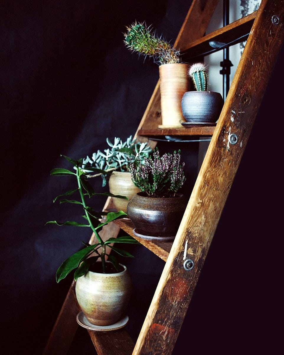 plant ladder with tiered plants on staircase