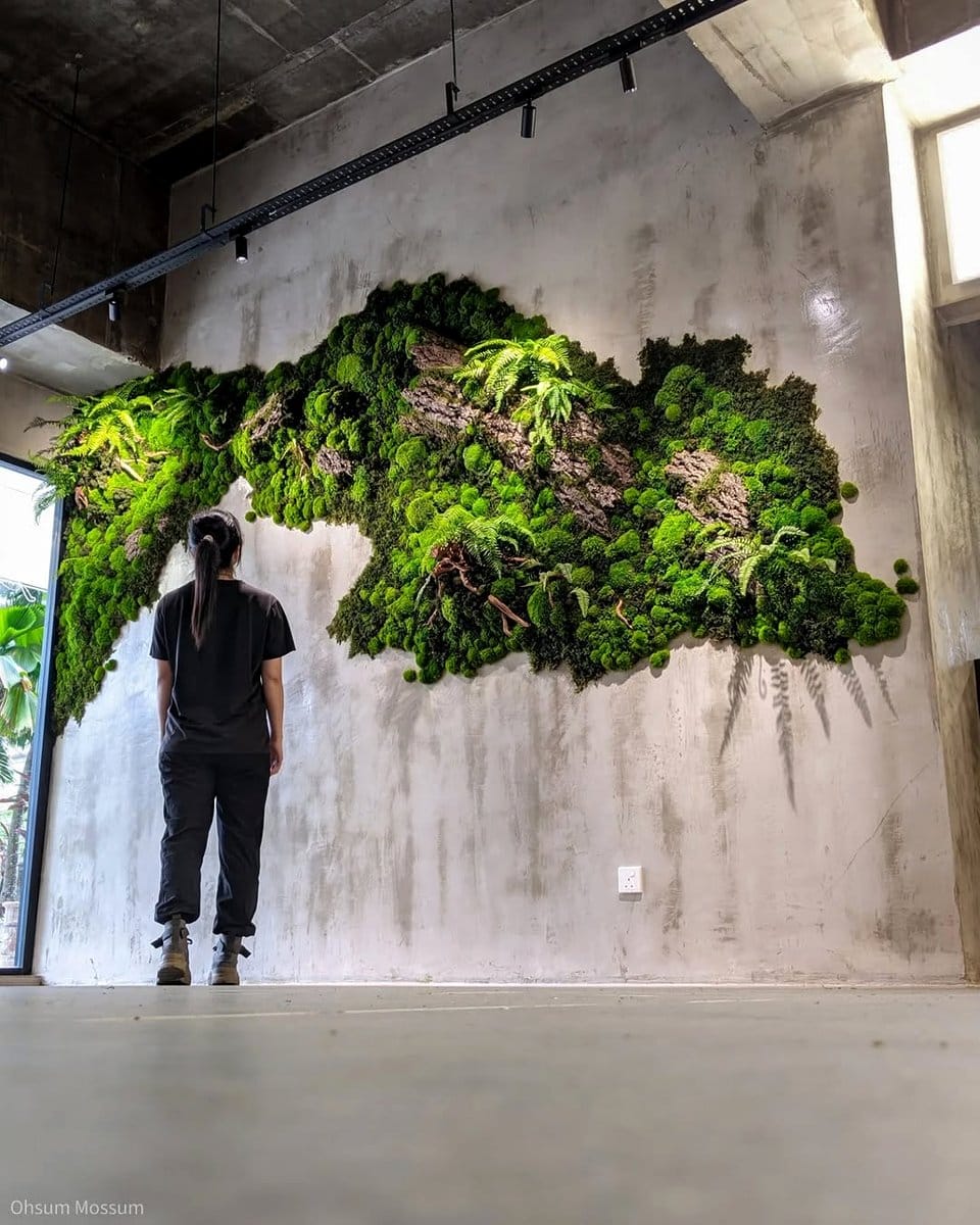moss wall with live plants