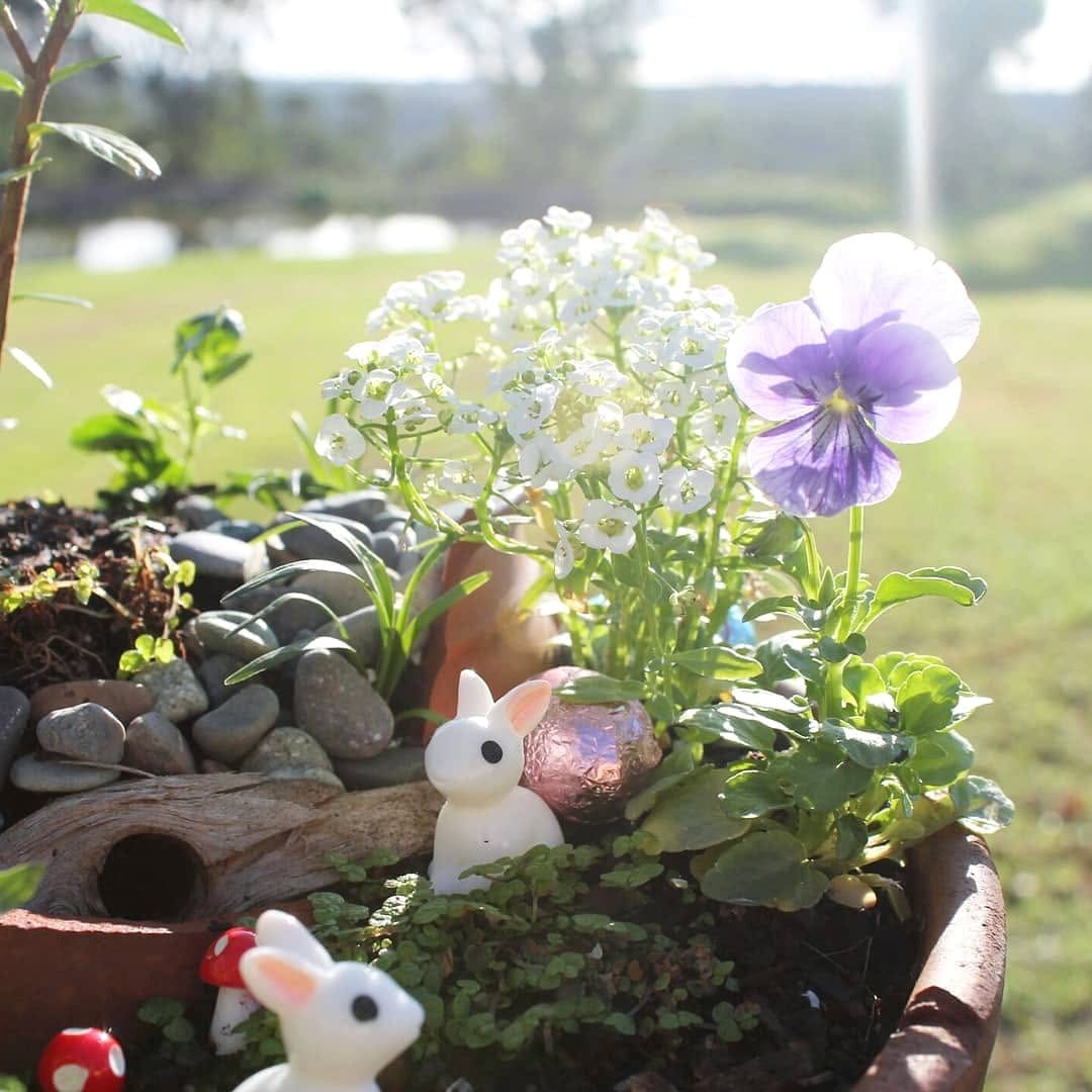 decorative stones and figurines