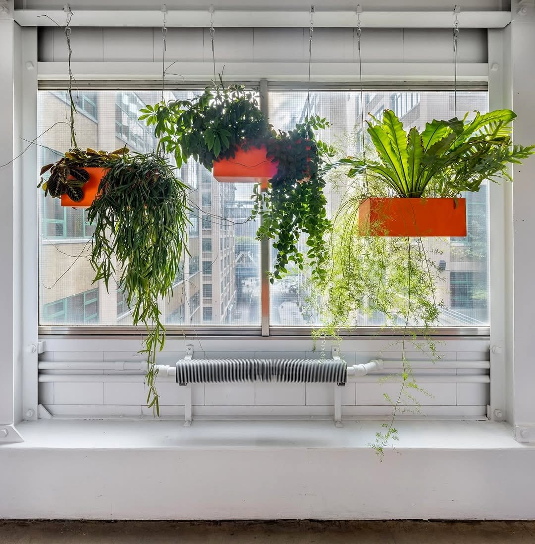 window sill with hanging planters