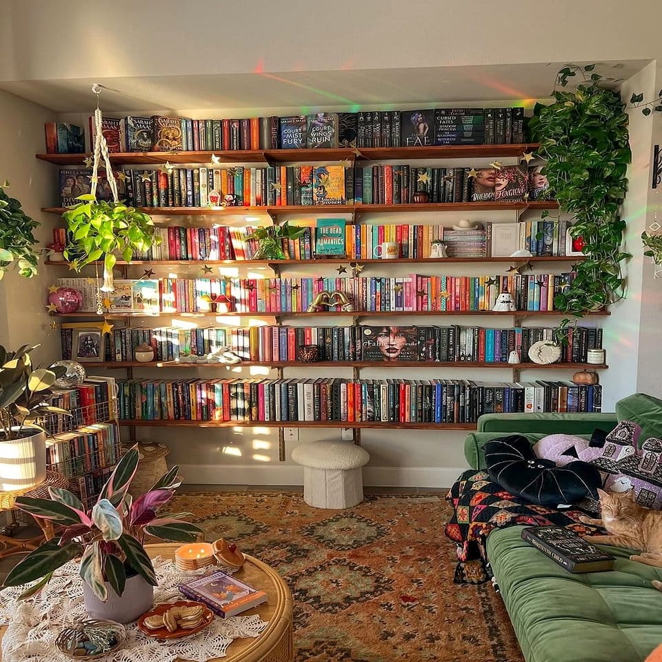 Bookshelf with plants and books