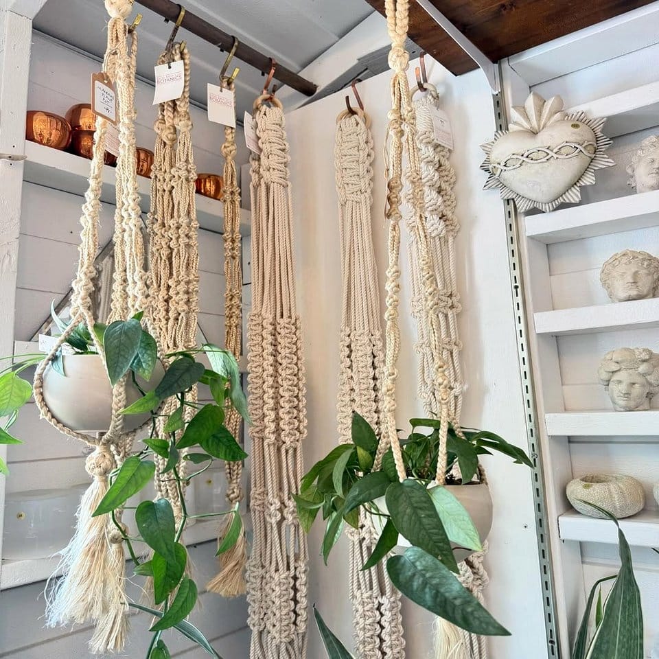 Cactus and rope pendant light fixture