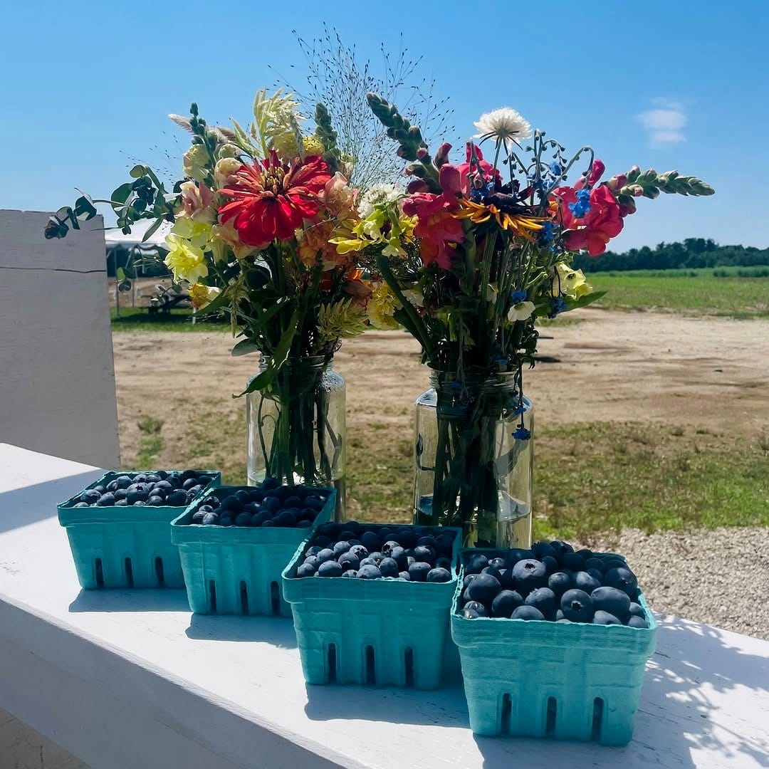 blueberries with marigolds in pot
