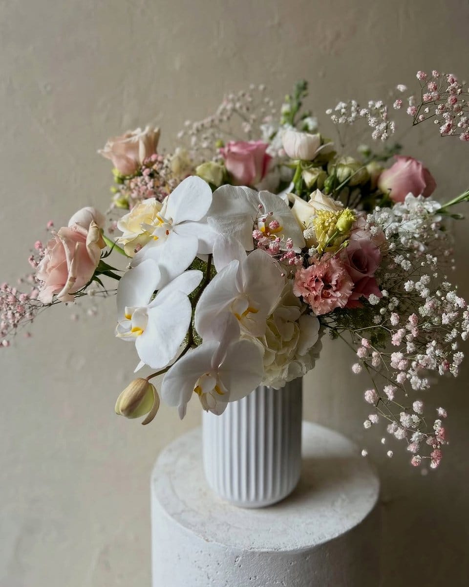 white orchids in ceramic vase