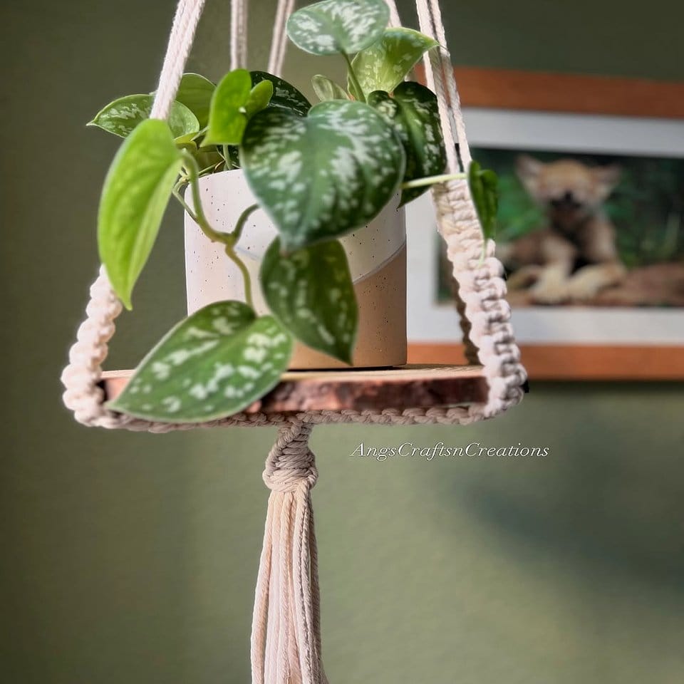 Macramé hangers with potted plants