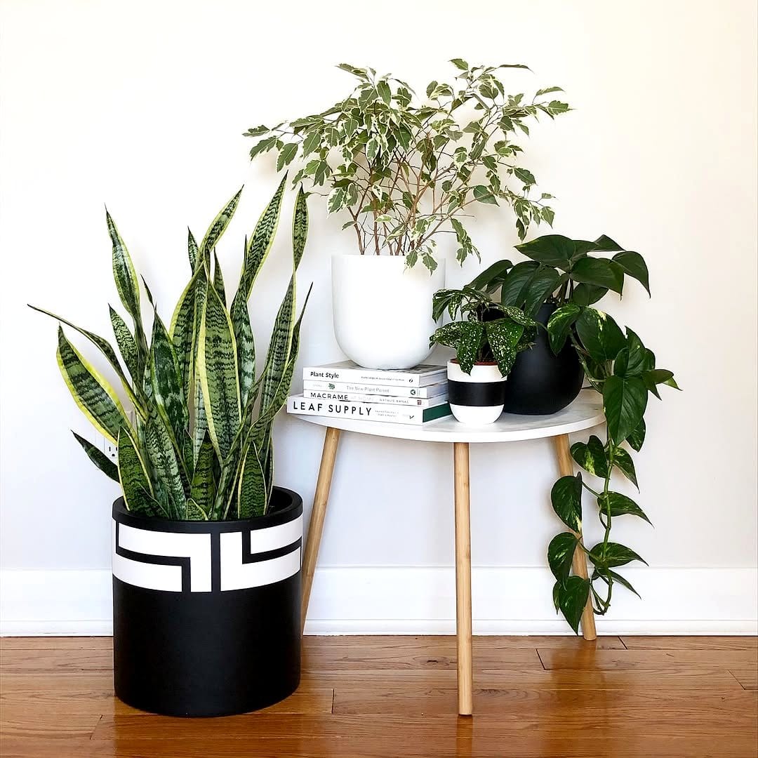 Pop art-inspired painted plant pot with bold graphics