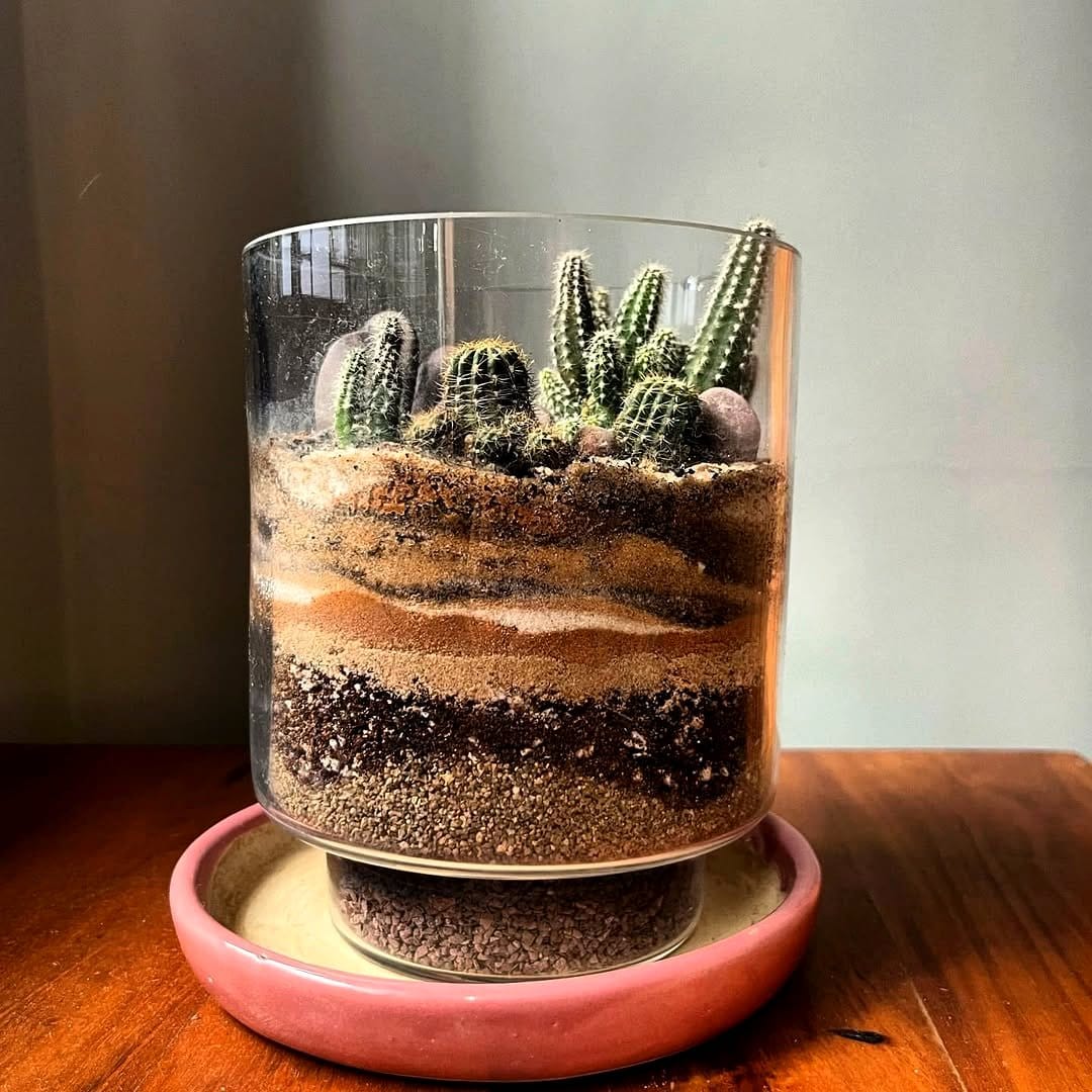 Holographic desert plant terrarium