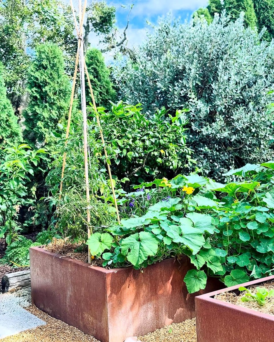 metal grid with clip-on pots filled with succulents