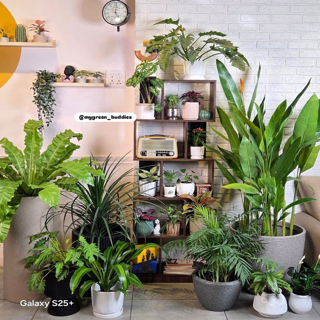 Elegant tapestry plant pedestal display