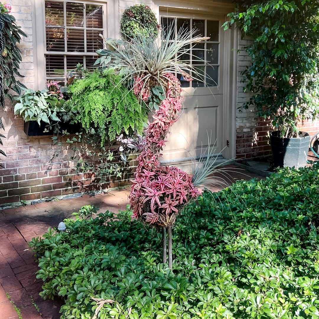 rock garden with epiphytes
