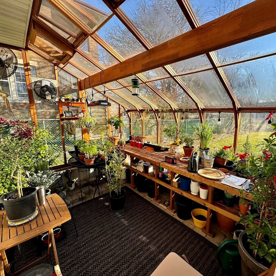 herb garden in sunroom