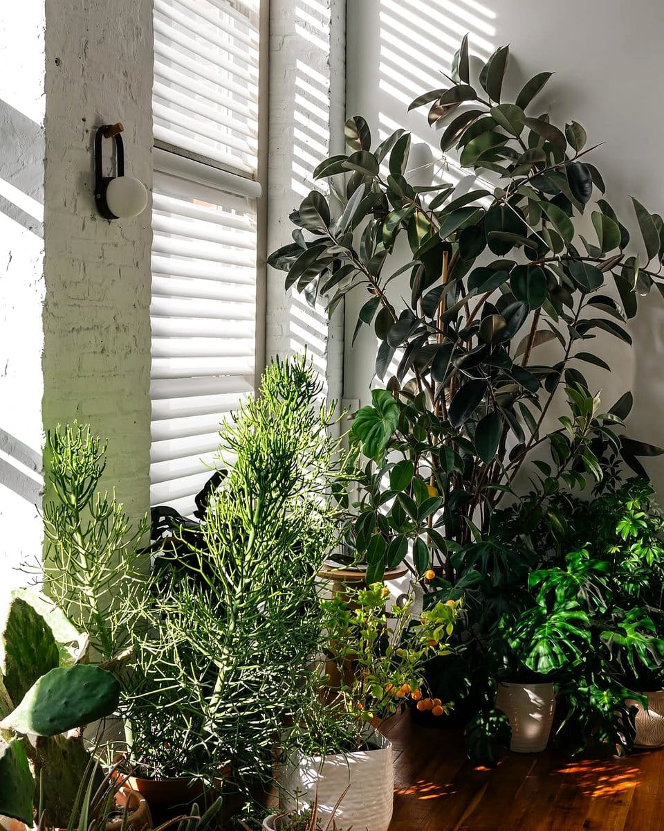 planters in office nook
