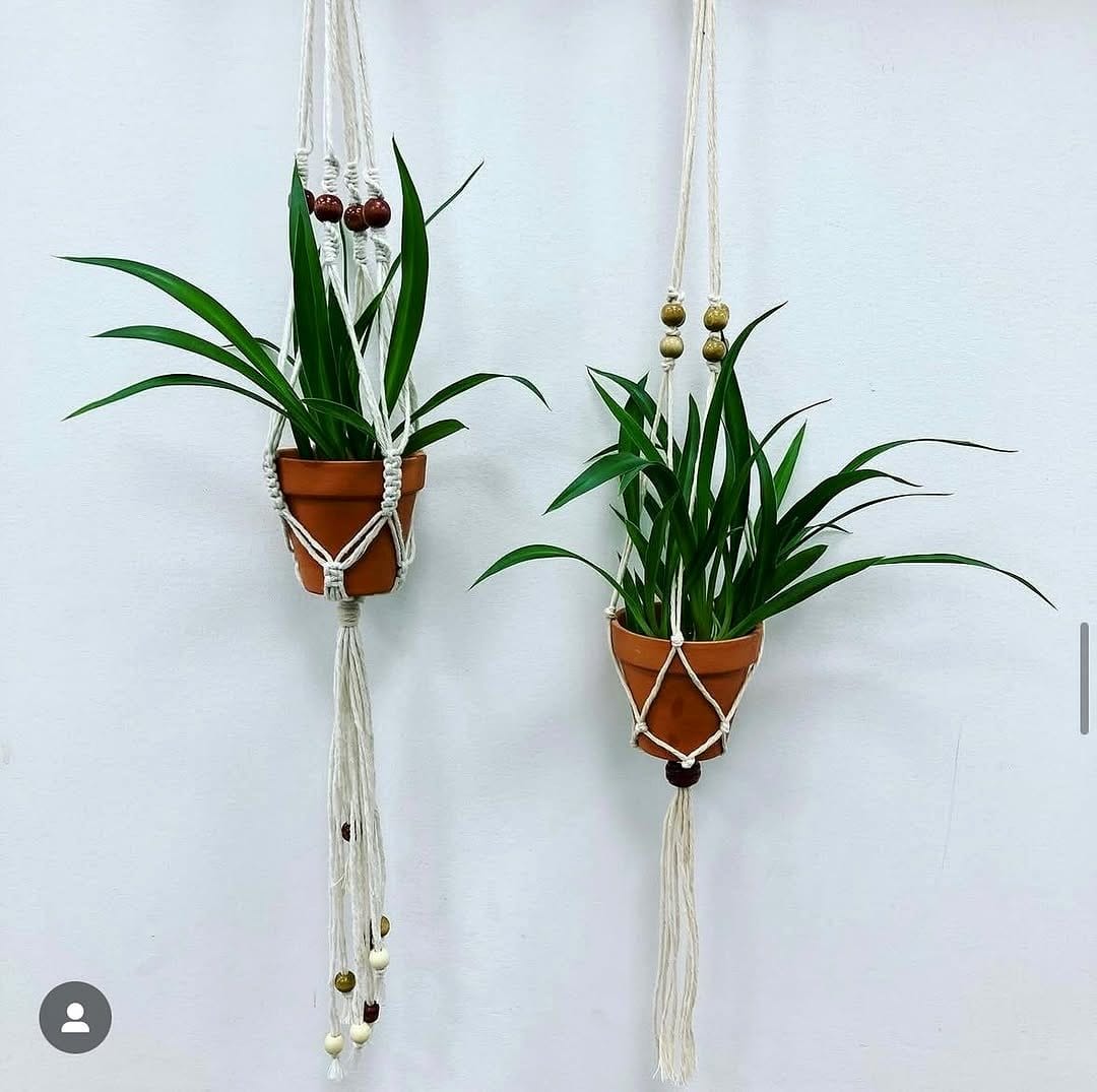Optical illusion wall art with hanging plants