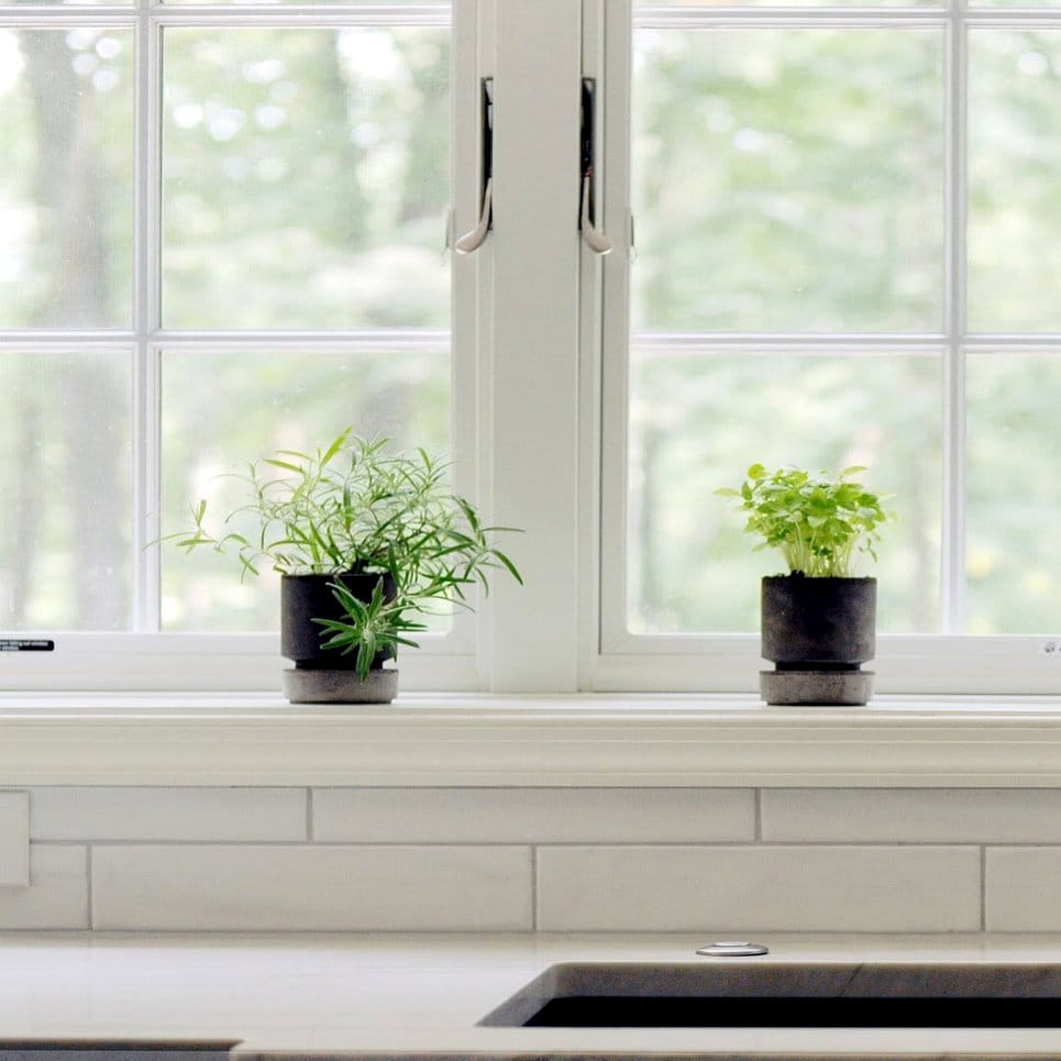 Colorful herb pots on a sunny windowsill