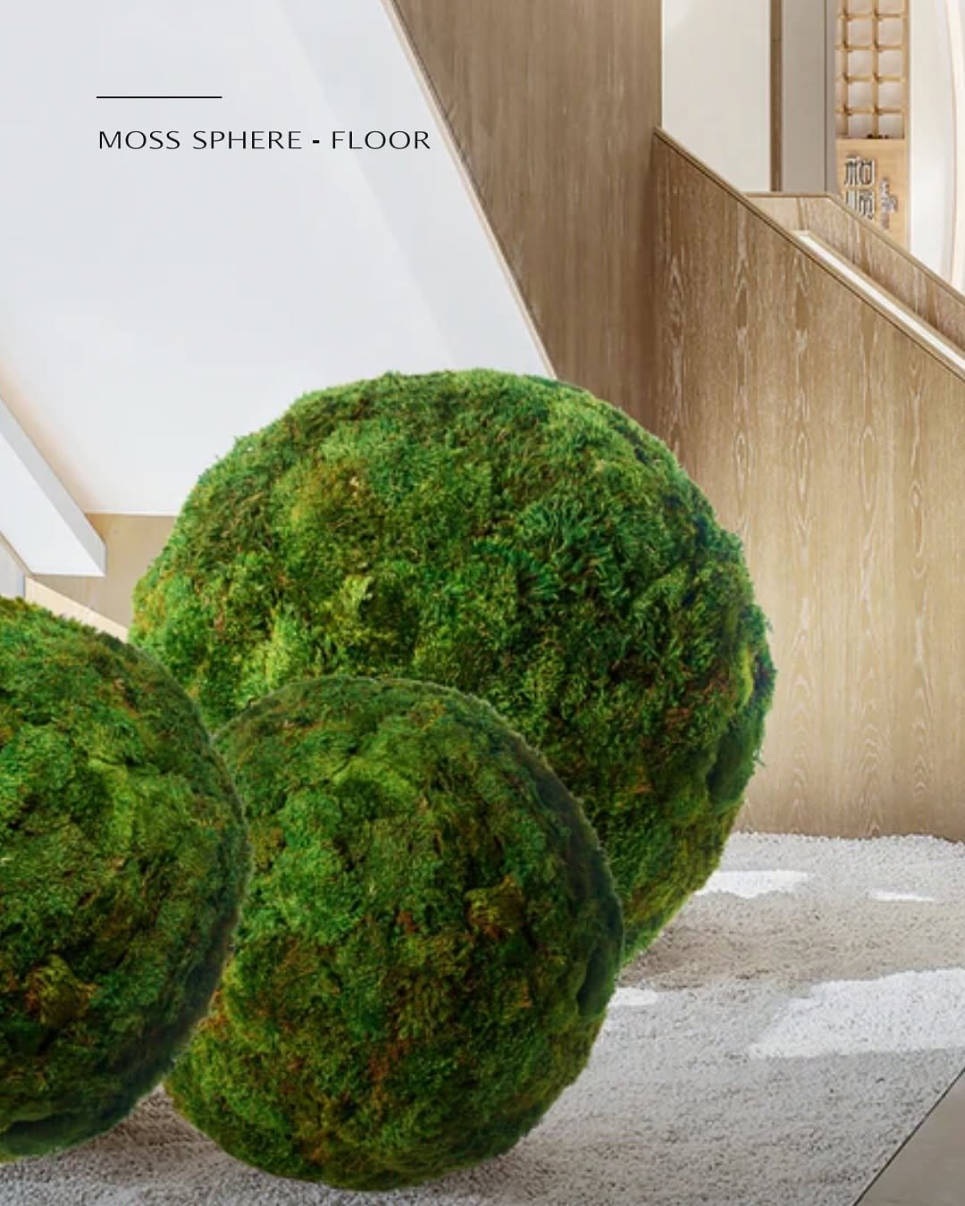 Lush moss in clear glass globe