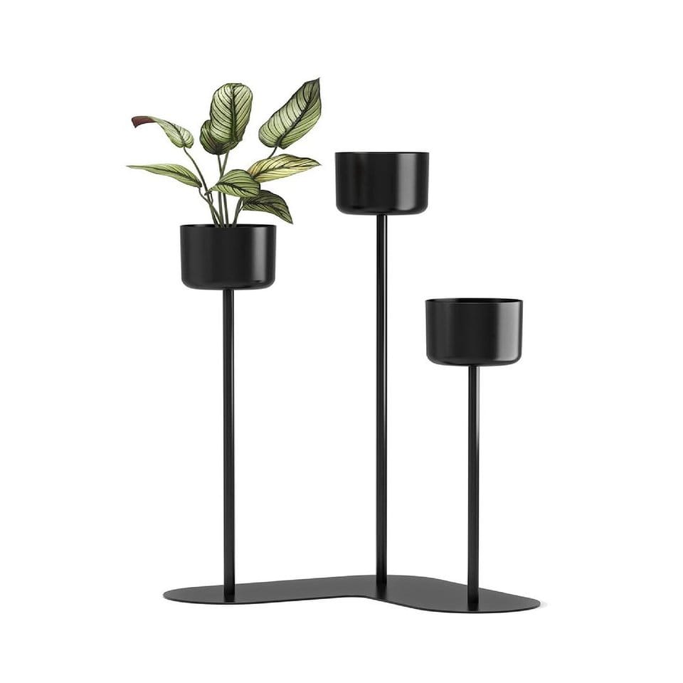 Scandinavian clustered plant grouping on floor
