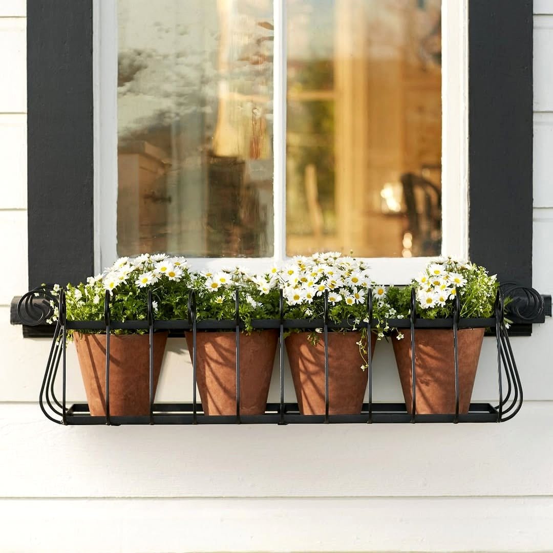 toolbox planter hanging from a hook