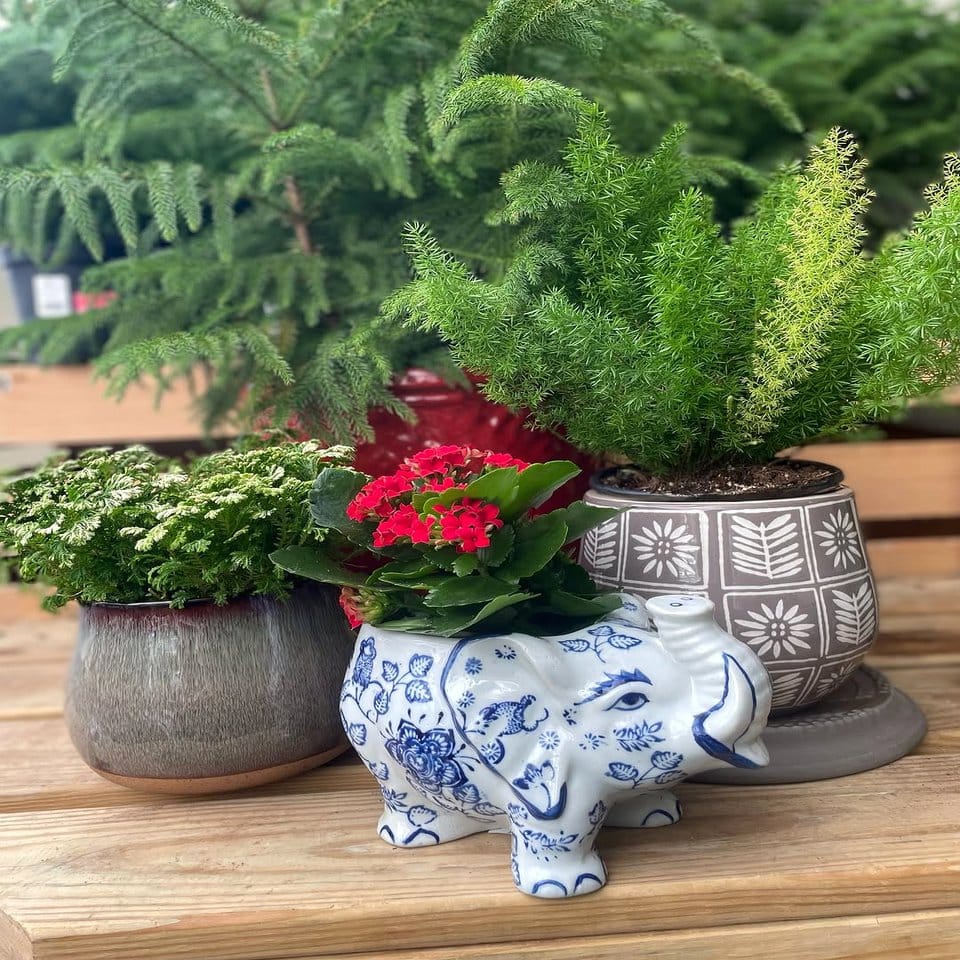 African safari-themed painted plant pot with elephants