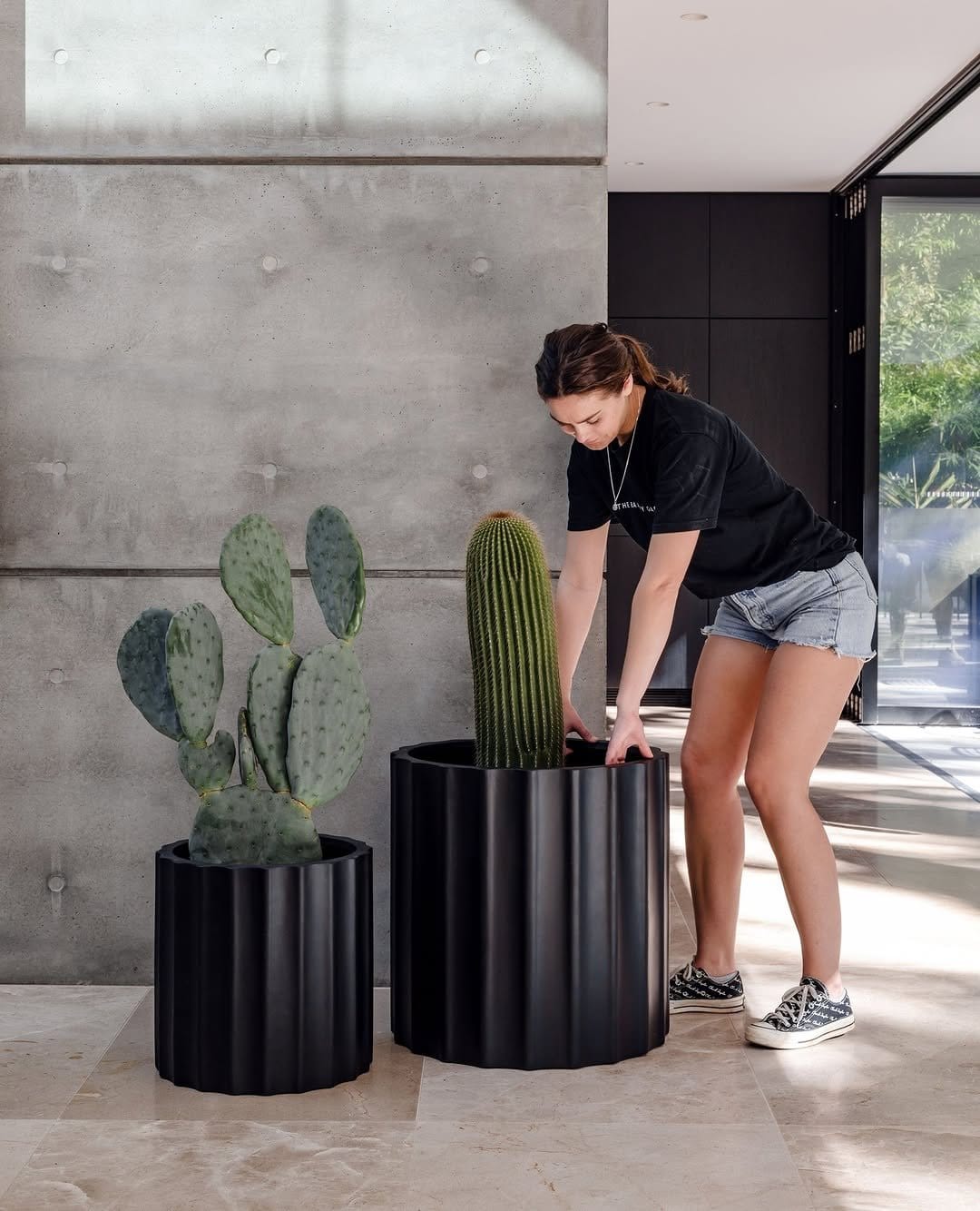 Bold cacti in terracotta pots