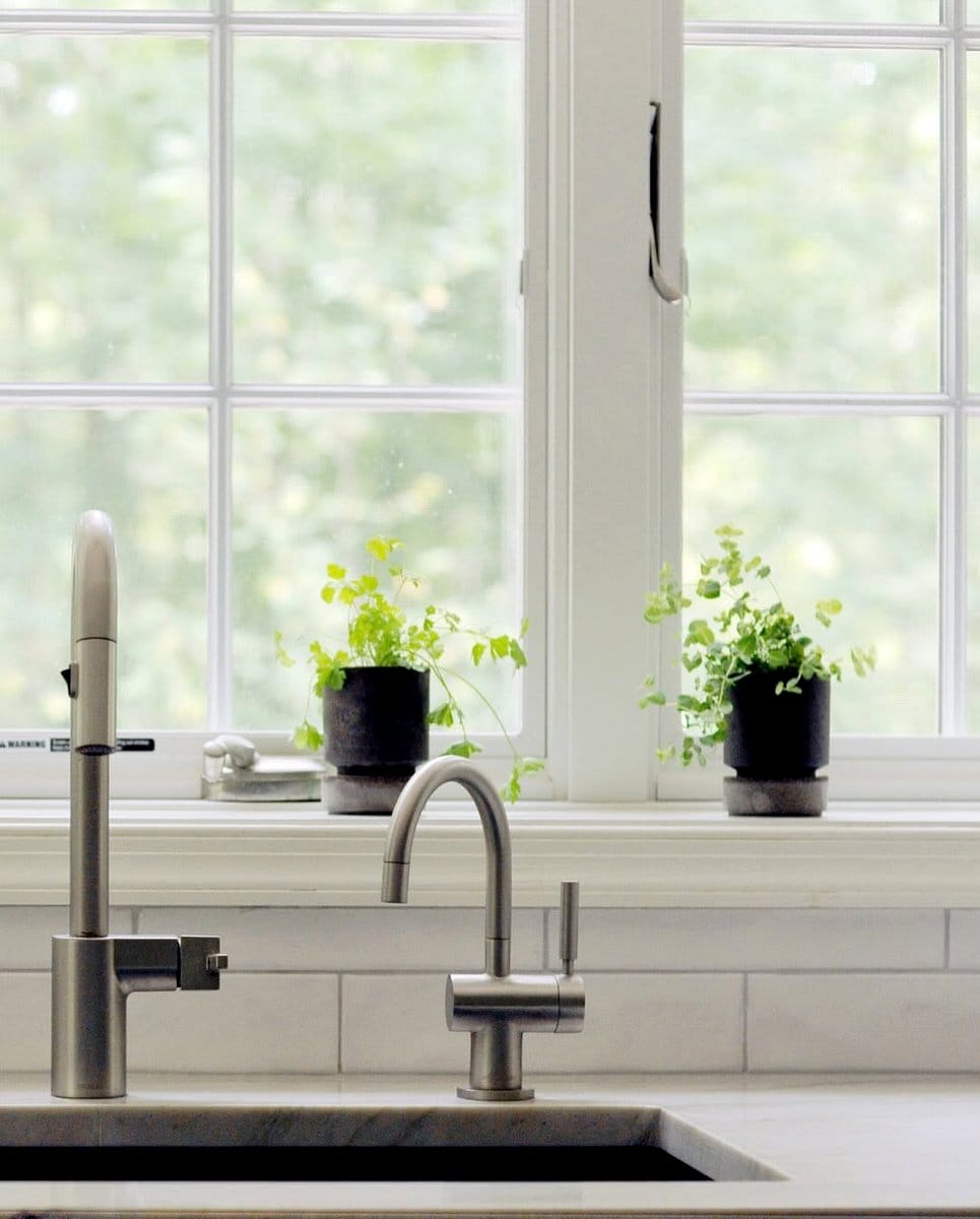 Herb plants on kitchen windowsill