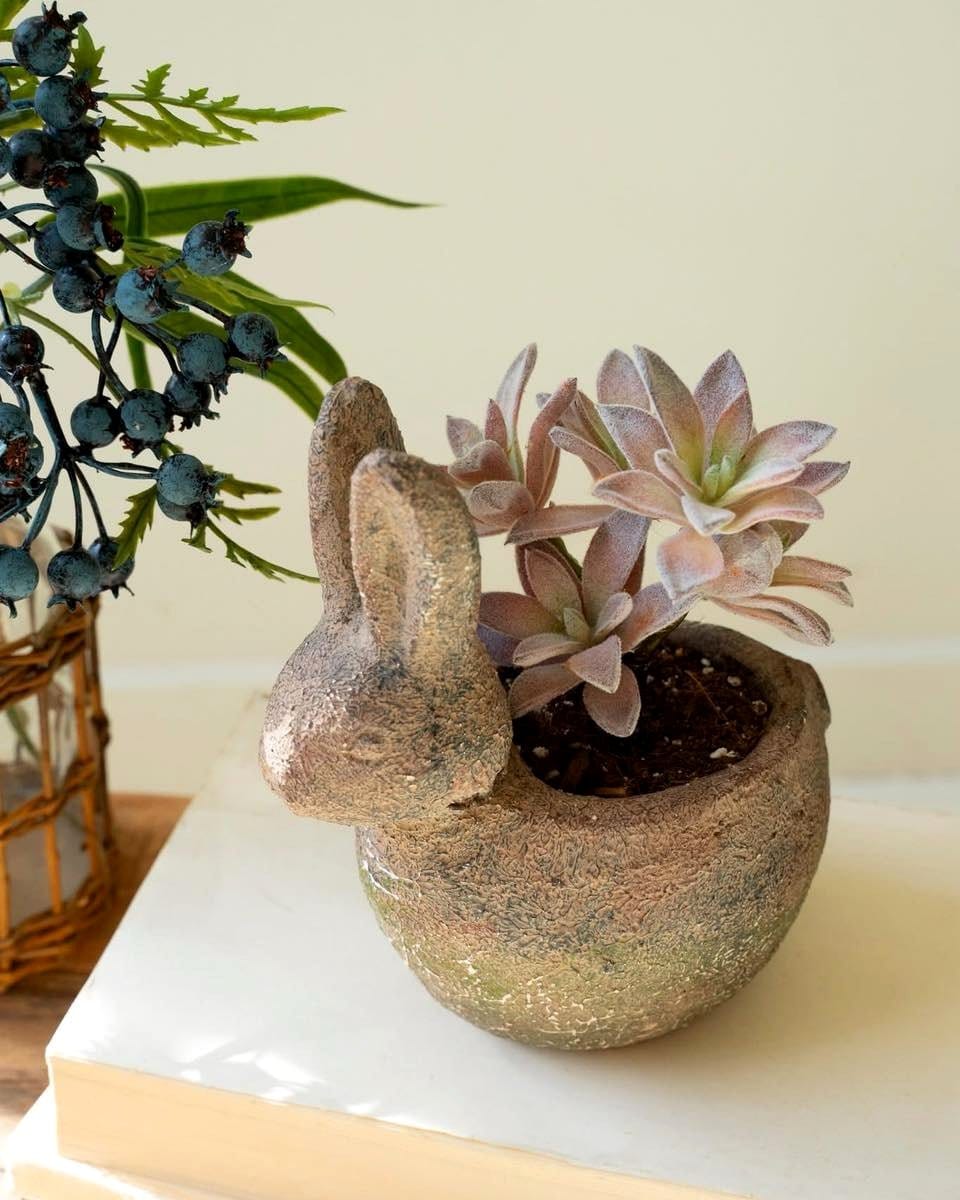 Rustic earthy clay pottery with desert plants