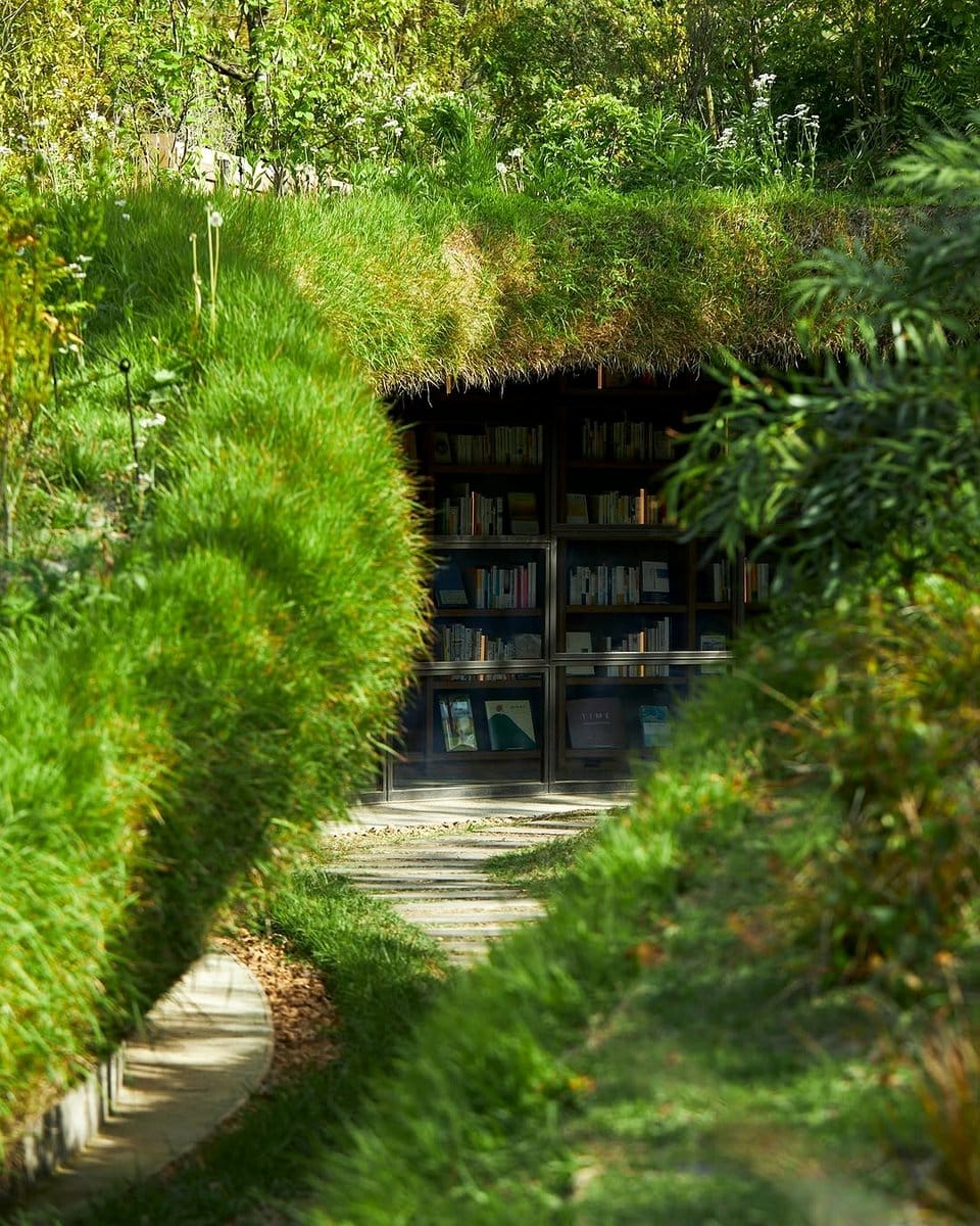 green plants nestled among books