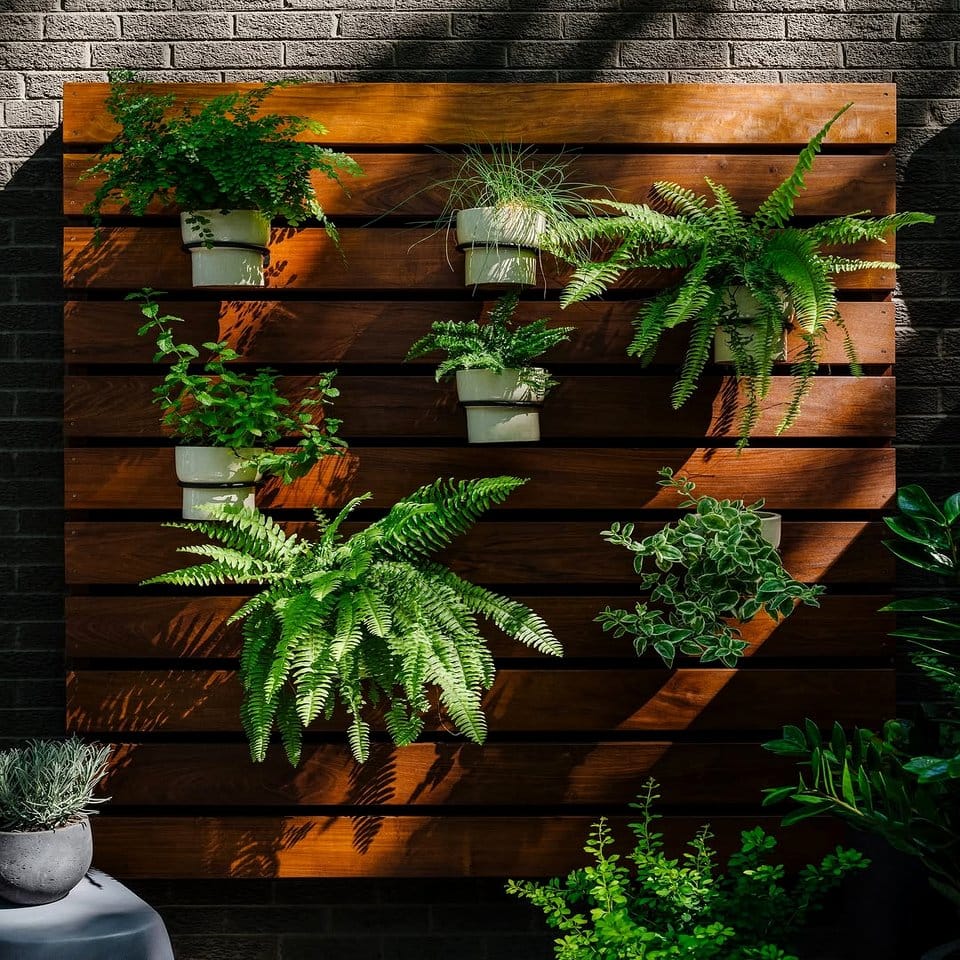 Indoor vertical garden with ferns