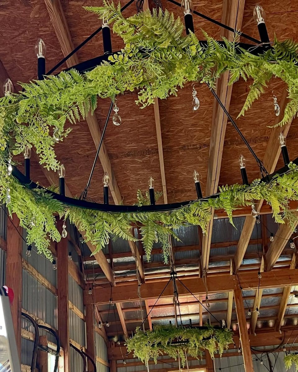 ladder with fairy lights and small plants