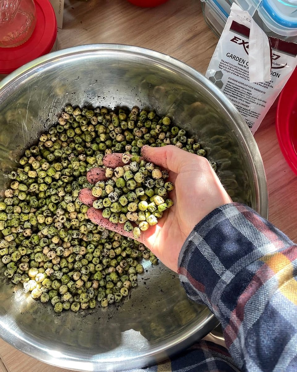 seeds soaking in water bowl
