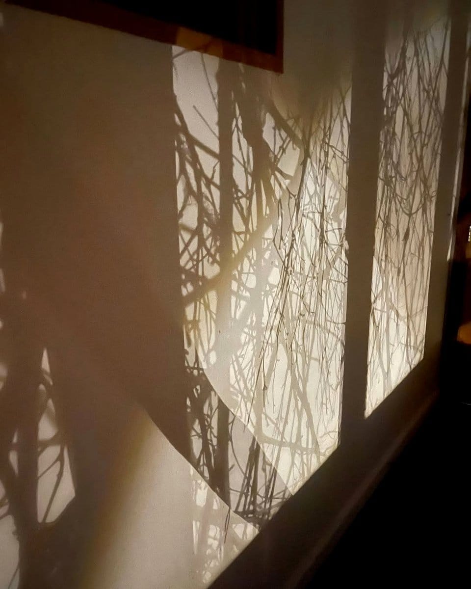 shadow art installation
